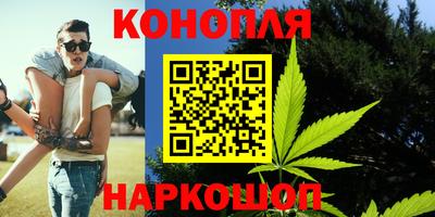 крисы Гатчина