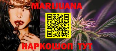 крисы Гатчина