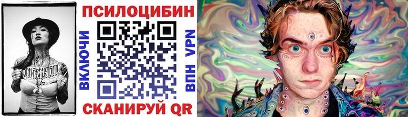 OMG ССЫЛКА  дарнет шоп  Красноярск  Галлюциногенные грибы Cubensis 