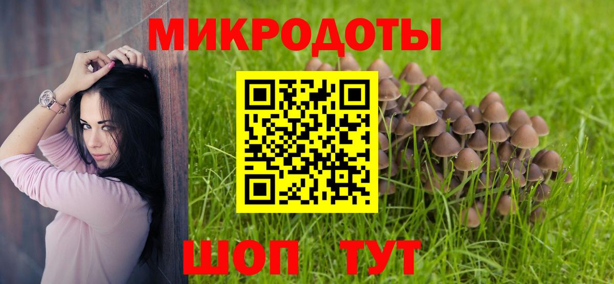 Псилоцибиновые грибы Красноярск