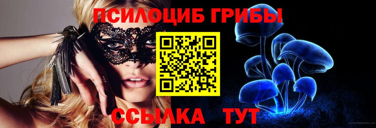 Красноярск  Псилоцибиновые грибы мухоморы  Вход с VPN  Галлюциногенные грибы мухоморы 